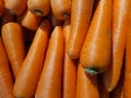 Fresh orange carrots. Organic vegetarian concept.