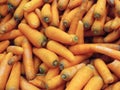 Fresh orange carrots on the store shelf