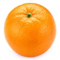 Fresh orange citrus