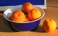 Fresh orange clementines in a blue bowl