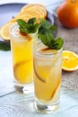 Fresh orange cocktail with mint Royalty Free Stock Photo