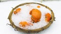The fresh orange crabs in ice basket. Royalty Free Stock Photo