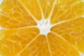 Fresh orange cut slices, decorate Royalty Free Stock Photo