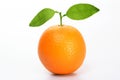 Fresh Orange fruit