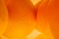 Fresh orange fruit isolated on white background. Close-up of  fresh orange peel over yellow background. Bio and healthy food Royalty Free Stock Photo