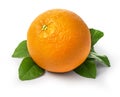 Fresh orange fruit with leaf Royalty Free Stock Photo