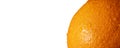 Fresh orange fruit skin close up isolated. Ripe orange texture with water drops on white background. Banner Royalty Free Stock Photo