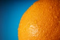 Fresh orange fruit skin close up. Ripe orange texture with water drops on blue background. Banner Royalty Free Stock Photo