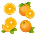 Fresh orange fruit slice set. Collection of realistic citrus vector illustrations. Juicy orange with leaves Royalty Free Stock Photo