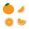 Fresh orange fruits, flat vector illustrations