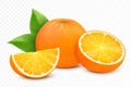 Fresh orange fruits, juicy orange with leaves, half, slice, and whole fruit, isolated on white background. Realistic 3d vector Royalty Free Stock Photo