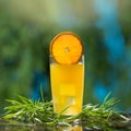 Fresh orange in a glass, at the top there is a slice of orange, a lot of green tarragon on the table, a healthy drink