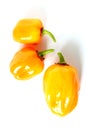 Fresh orange habanero chili peppers isolated on a white background