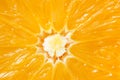 Fresh orange half Royalty Free Stock Photo