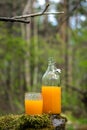 Fresh orange juice in a bottle with glass on green nature background. Vertical, close up, copy space Royalty Free Stock Photo