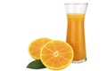 Fresh orange juice fruit drink glass over white background WITH CLIPPING PATH Royalty Free Stock Photo