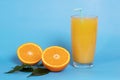 Fresh orange juice in a glass with fruit cut in half and sliced in green leaves isolated on a blue background copy space Royalty Free Stock Photo