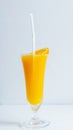 Fresh orange juice in the glass with a tropical fruit slice ready for a drink Royalty Free Stock Photo