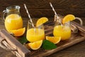 Fresh orange juice in glasses with cut oranges on wooden tray. Rustic still life with citrus fruits Royalty Free Stock Photo