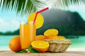 Fresh orange juice with oranges and blur nature background. Royalty Free Stock Photo