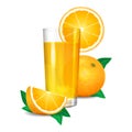 Fresh orange juice and pieces of orange, citrus juice