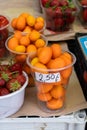 Fresh orange kumquat fruit sold at a local market in Greece