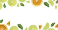 Fresh orange and lime slices isolated on white background Royalty Free Stock Photo