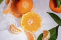 Fresh orange mandarin fruit with green leaves are frozen on cold blue ice. Royalty Free Stock Photo