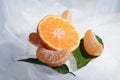 Fresh orange mandarin fruit with green leaves are frozen on cold blue ice. Royalty Free Stock Photo