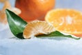 Fresh orange mandarin fruit with green leaves are frozen on cold blue ice. Royalty Free Stock Photo