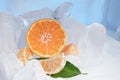 Fresh orange mandarin fruit with green leaves are frozen on cold blue ice. Royalty Free Stock Photo
