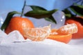 Fresh orange mandarin fruit with green leaves are frozen on cold blue ice. Royalty Free Stock Photo