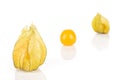 Fresh orange physalis isolated on white Royalty Free Stock Photo