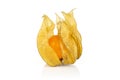 Fresh orange physalis isolated on white Royalty Free Stock Photo