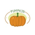 Fresh orange pumpkin badge isolated vector illustration.