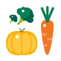 Fresh orange pumpkin, carrots and broccoli isolated vector illustration.