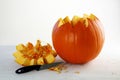 Fresh orange pumpkin cut open with lid and knife on white painted wood, copy space Royalty Free Stock Photo