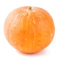 Fresh orange pumpkin isolated on white background. Royalty Free Stock Photo