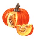 Fresh orange pumpkin, whole and slice, autumn ripe organic vegetable, close-up, vegetarian food, package design element