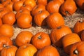 Fresh Orange Pumpkins and Hay in a Rustic Outdoor Fall Setting Royalty Free Stock Photo