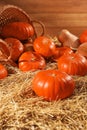 Fresh orange pumpkins and wicker basket on dry hay in barn Royalty Free Stock Photo