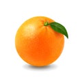 Fresh orange realistic fruit with green leaf. 3d vector isolated