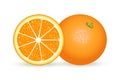 Fresh orange in realistic style. Vector illustration isolated on white background.