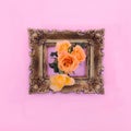 Fresh orange roses coming out of a retro baroque golden frame on a pastel pink background.