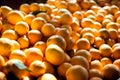 Fresh orange for sale at local market. Agriculture product. Organic fruits Royalty Free Stock Photo