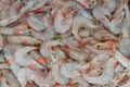 Fresh orange shrimp Royalty Free Stock Photo