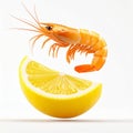 Fresh Orange Shrimp and Lemon Slice on White Royalty Free Stock Photo