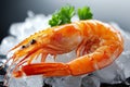 Fresh orange shrimp is lying on a bed of ice with a garnish of parsley Royalty Free Stock Photo