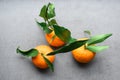 Fresh orange tangerine with green leaves Royalty Free Stock Photo