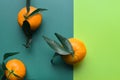 Fresh orange tangerine with green leaves Royalty Free Stock Photo